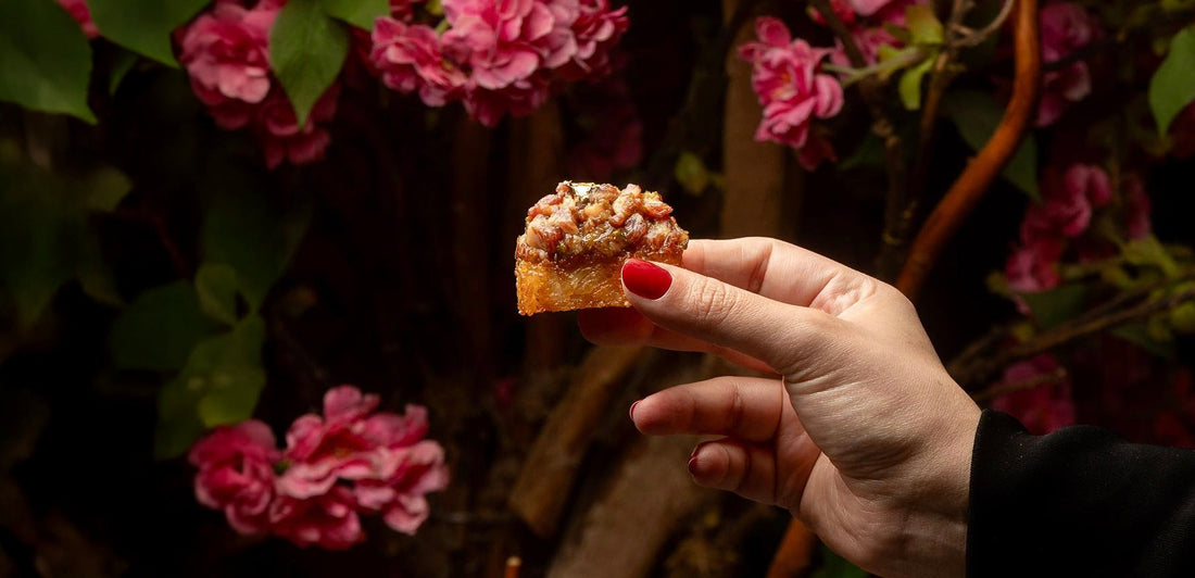 Discover Tranquility: The Yokari Zen Garden