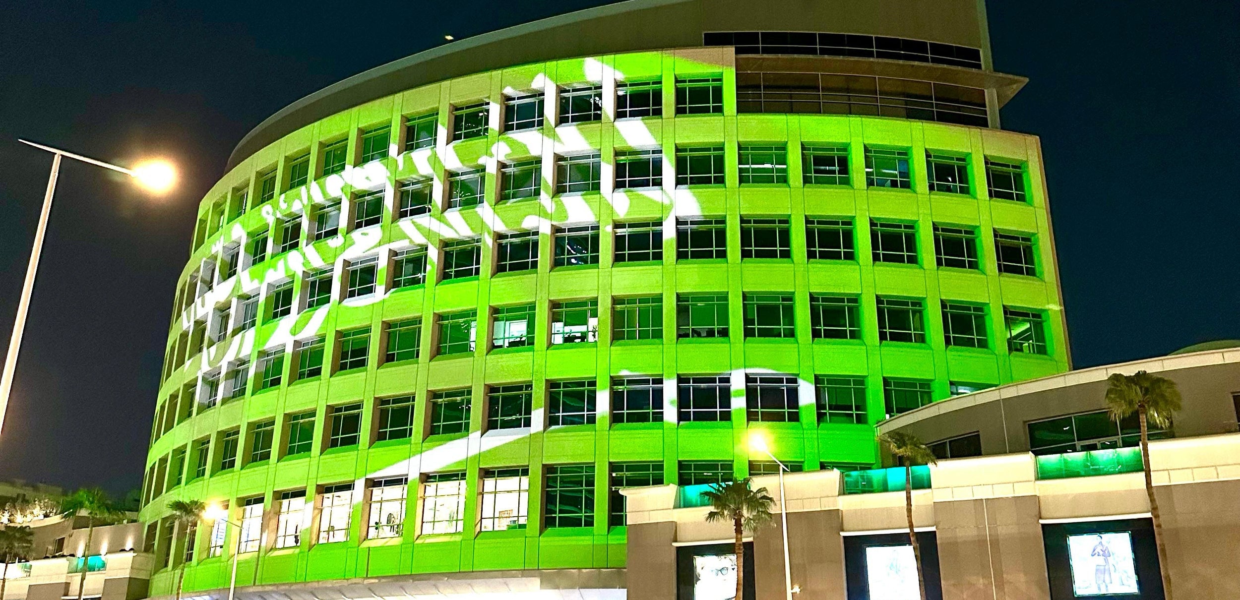 Shining in Green: A Tribute to Saudi National Day